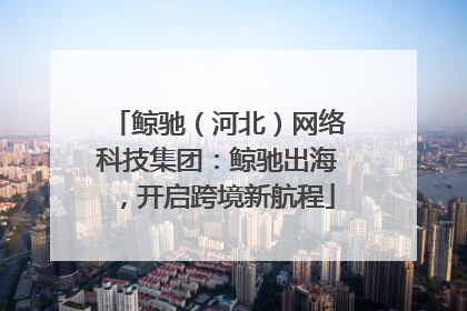 鲸驰（河北）网络科技集团：鲸驰出海，开启跨境新航程