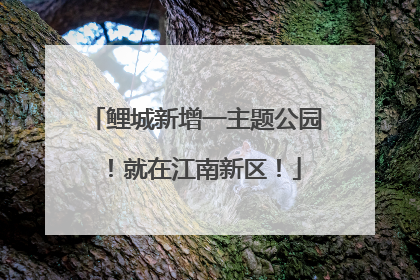鲤城新增一主题公园！就在江南新区！