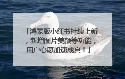 鸿蒙版小红书持续上新，新增图片美颜等功能，用户心愿加速成真！