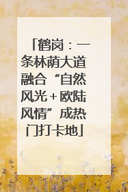 鹤岗：一条林荫大道融合“自然风光＋欧陆风情”成热门打卡地