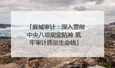 麻城审计：深入贯彻中央八项规定精神 筑牢审计质量生命线