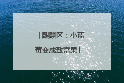 麒麟区：小蓝莓变成致富果