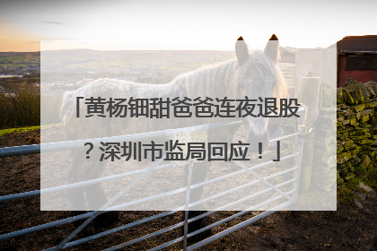 黄杨钿甜爸爸连夜退股？深圳市监局回应！