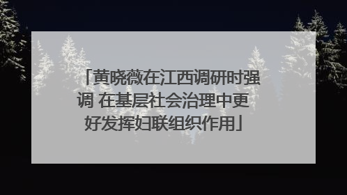 黄晓薇在江西调研时强调 在基层社会治理中更好发挥妇联组织作用