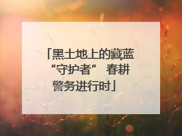 黑土地上的藏蓝“守护者” 春耕警务进行时