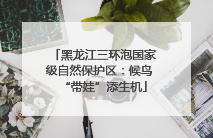 黑龙江三环泡国家级自然保护区：候鸟“带娃”添生机