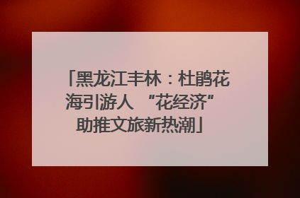 黑龙江丰林：杜鹃花海引游人 “花经济”助推文旅新热潮