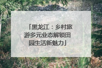黑龙江：乡村旅游多元业态解锁田园生活新魅力