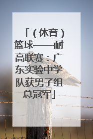 （体育）篮球——耐高联赛：广东实验中学队获男子组总冠军