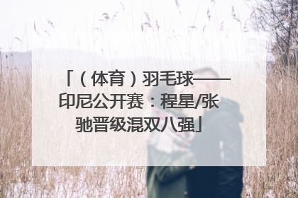 （体育）羽毛球——印尼公开赛：程星/张驰晋级混双八强