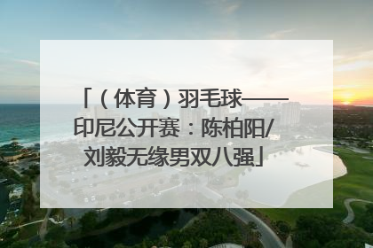 （体育）羽毛球——印尼公开赛：陈柏阳/刘毅无缘男双八强