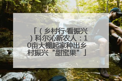 （乡村行·看振兴）科尔沁新农人：10亩大棚起家种出乡村振兴“甜蜜果”