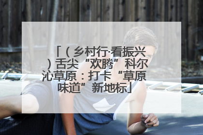 （乡村行·看振兴）舌尖“欢腾”科尔沁草原：打卡“草原味道”新地标