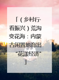 （乡村行·看振兴）荒沟变花海：内蒙古闲置地育出“花漾经济”