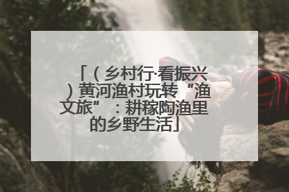 （乡村行·看振兴）黄河渔村玩转“渔文旅”：耕稼陶渔里的乡野生活