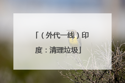 （外代一线）印度：清理垃圾