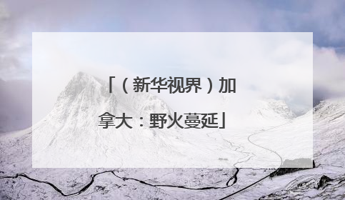 （新华视界）加拿大：野火蔓延