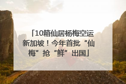 10箱仙居杨梅空运新加坡！今年首批“仙梅”抢“鲜”出国