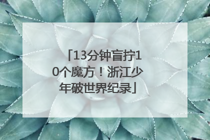 13分钟盲拧10个魔方！浙江少年破世界纪录