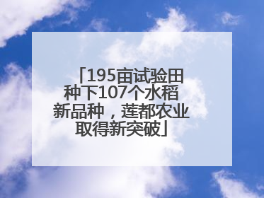 195亩试验田种下107个水稻新品种，莲都农业取得新突破