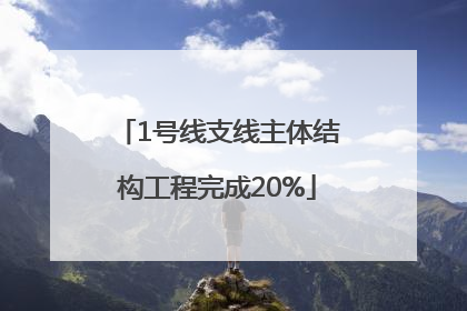 1号线支线主体结构工程完成20%