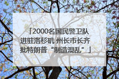 2000名国民警卫队进驻洛杉矶 州长市长齐批特朗普“制造混乱”