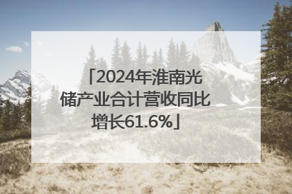 2024年淮南光储产业合计营收同比增长61.6%