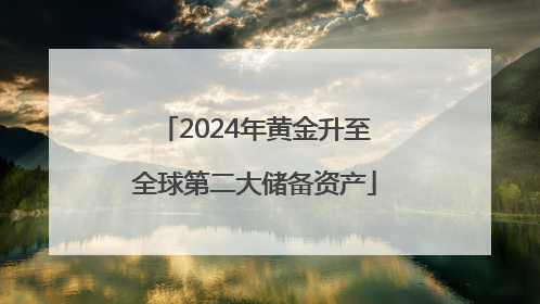 2024年黄金升至全球第二大储备资产