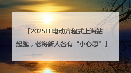 2025FE电动方程式上海站起跑，老将新人各有“小心思”