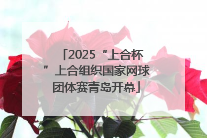 2025“上合杯”上合组织国家网球团体赛青岛开幕