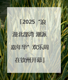 2025“浪漫北部湾 潮派嘉年华”欢乐周在钦州开幕