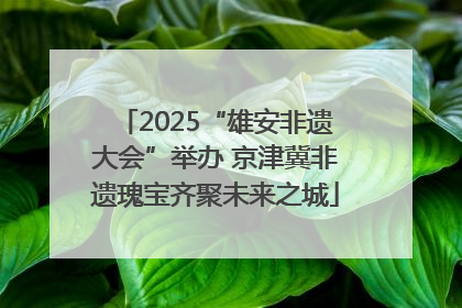 2025“雄安非遗大会”举办 京津冀非遗瑰宝齐聚未来之城