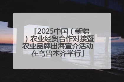 2025中国（新疆）农业经贸合作对接暨农业品牌出海宣介活动在乌鲁木齐举行