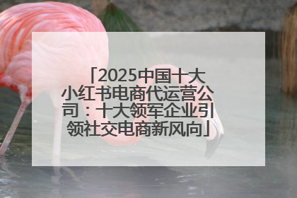 2025中国十大小红书电商代运营公司：十大领军企业引领社交电商新风向