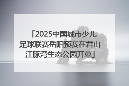 2025中国城市少儿足球联赛岳阳预赛在君山江豚湾生态公园开幕
