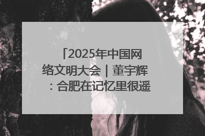 2025年中国网络文明大会｜董宇辉：合肥在记忆里很遥远也很亲切