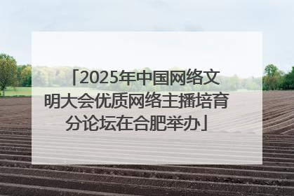 2025年中国网络文明大会优质网络主播培育分论坛在合肥举办