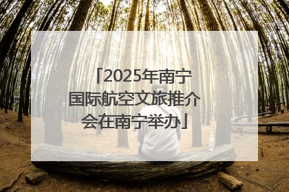 2025年南宁国际航空文旅推介会在南宁举办