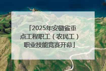 2025年安徽省重点工程职工（农民工）职业技能竞赛开幕