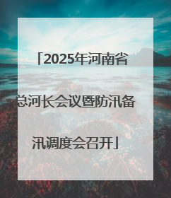 2025年河南省总河长会议暨防汛备汛调度会召开