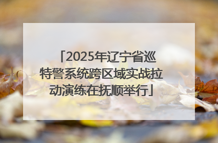 2025年辽宁省巡特警系统跨区域实战拉动演练在抚顺举行