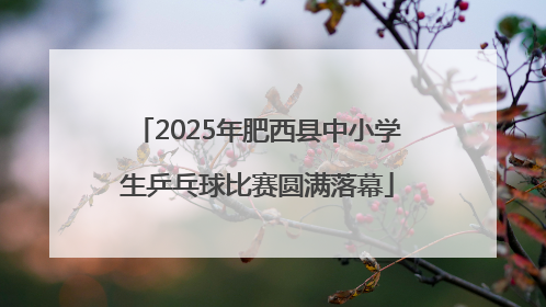 2025年肥西县中小学生乒乓球比赛圆满落幕