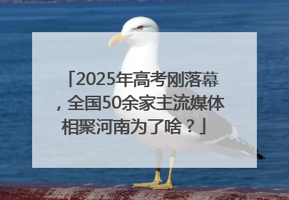 2025年高考刚落幕，全国50余家主流媒体相聚河南为了啥？
