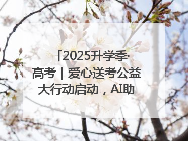 2025升学季·高考｜爱心送考公益大行动启动，AI助力考生赴考