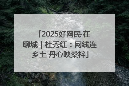 2025好网民·在聊城｜杜秀红：网线连乡土 丹心映桑梓