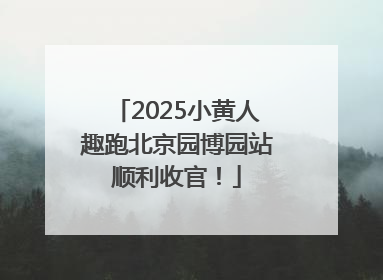 2025小黄人趣跑北京园博园站顺利收官！