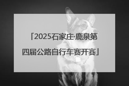 2025石家庄·鹿泉第四届公路自行车赛开赛