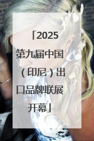 2025第九届中国（印尼）出口品牌联展开幕