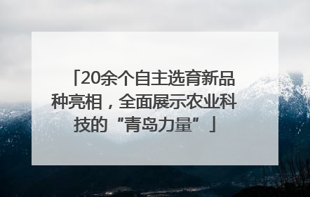 20余个自主选育新品种亮相，全面展示农业科技的“青岛力量”