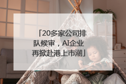 20多家公司排队候审，AI企业再掀赴港上市潮
